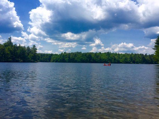 DAR State Forest