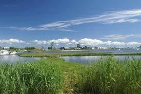 Lagoon Pond