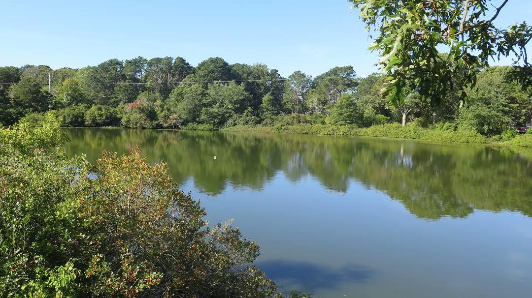 Cape Cod Rail Trail