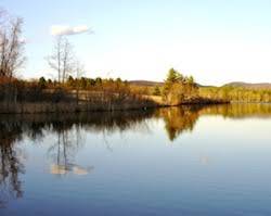 Laurel Lake