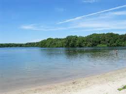 Dennis Pond