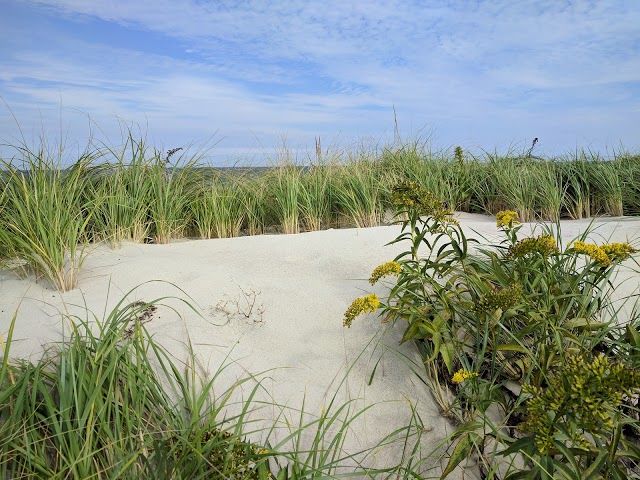 Sandy Neck Gate House