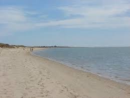 Harding Beach