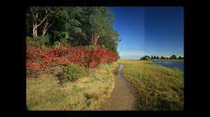 Nauset Marsh Trail