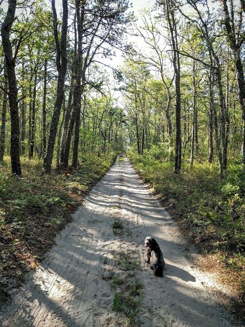 Hawksnest State Park