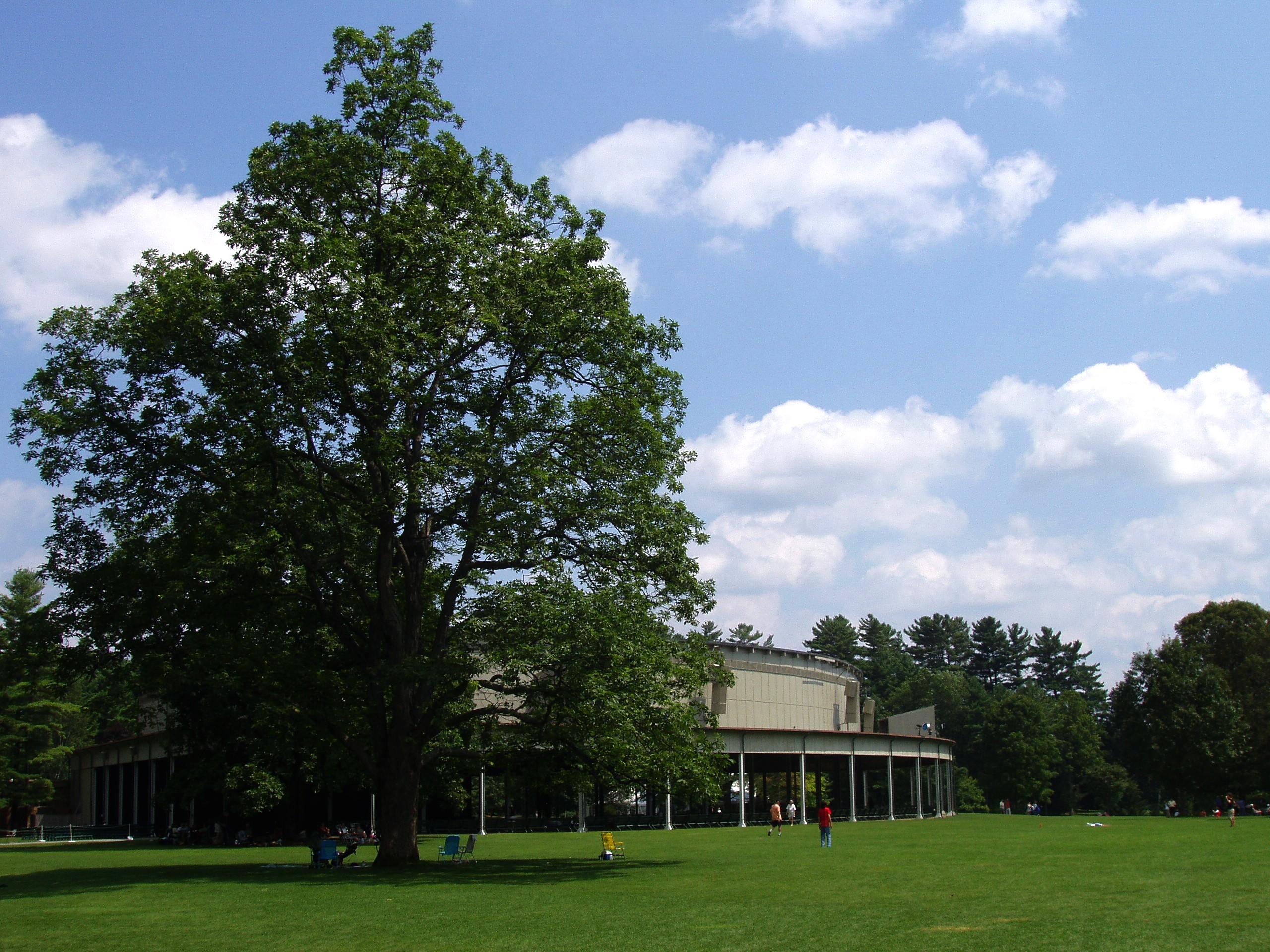 Tanglewood Music Festival