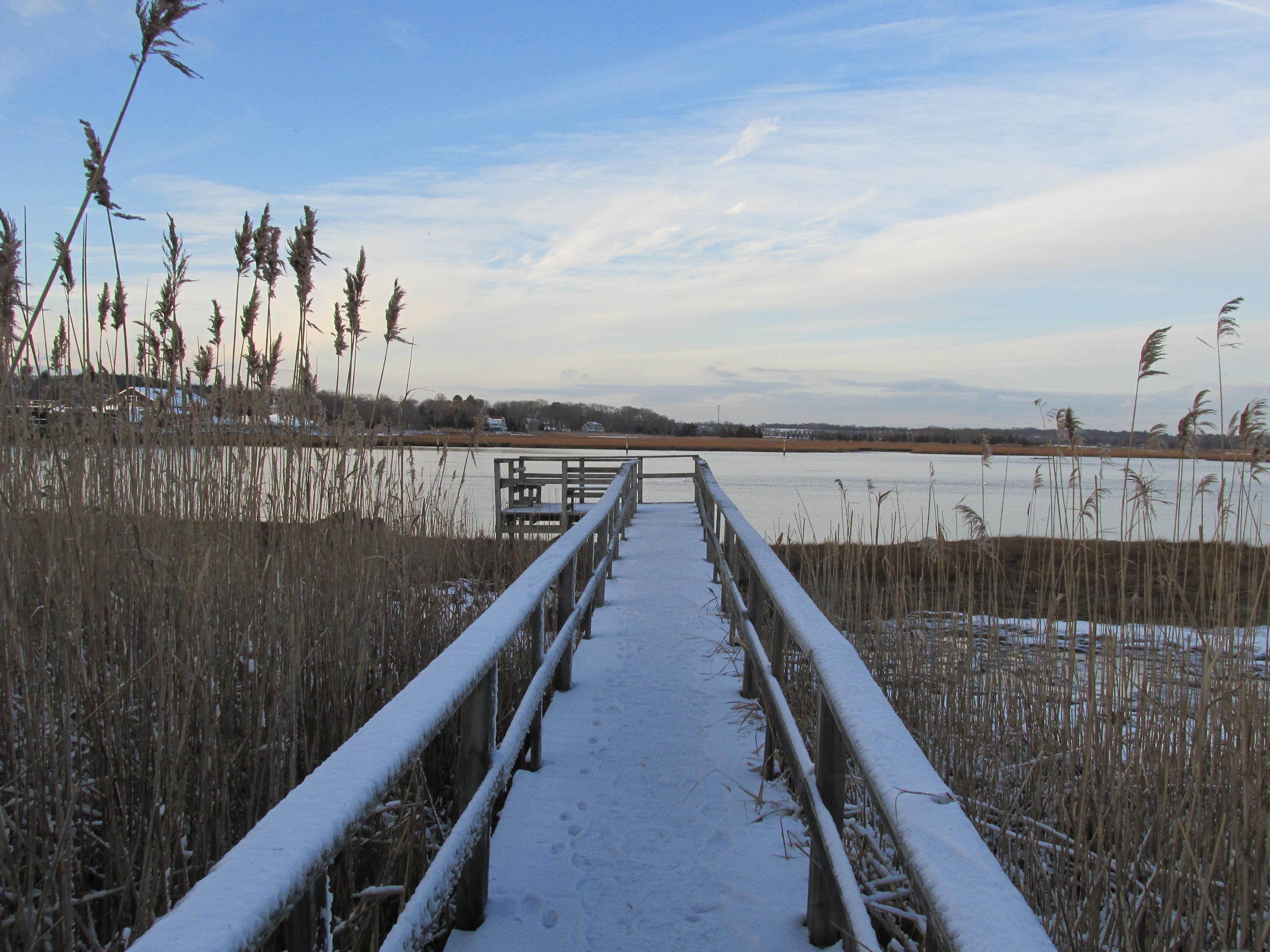North River Wildlife Sanctuary