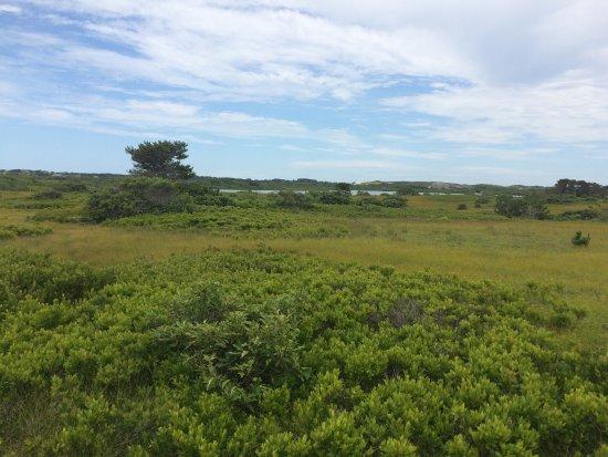 Linda Loring Nature Foundation