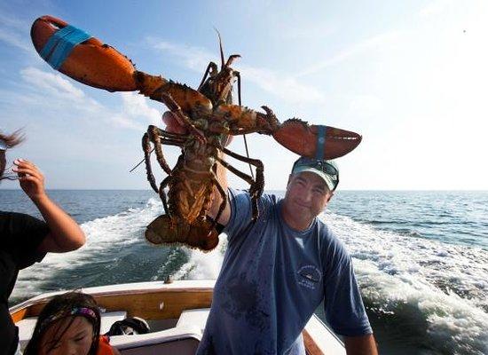 Billingsgate Charters