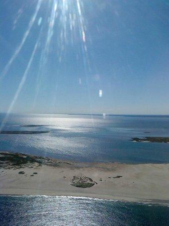 Chatham Boat Tours