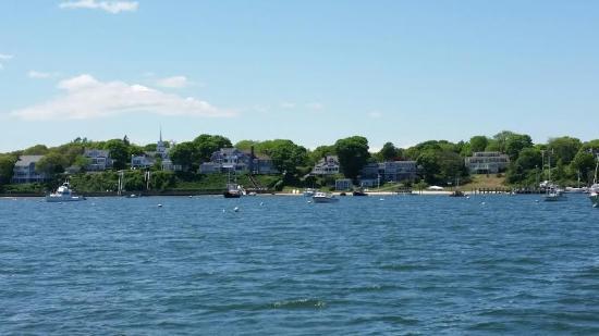 Cotuit Harbor Tours