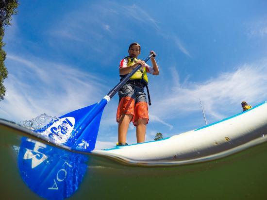 Surfari Stand Up Paddle & Surf
