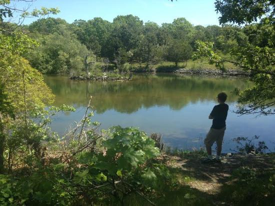 Felix Neck Wildlife Sanctuary