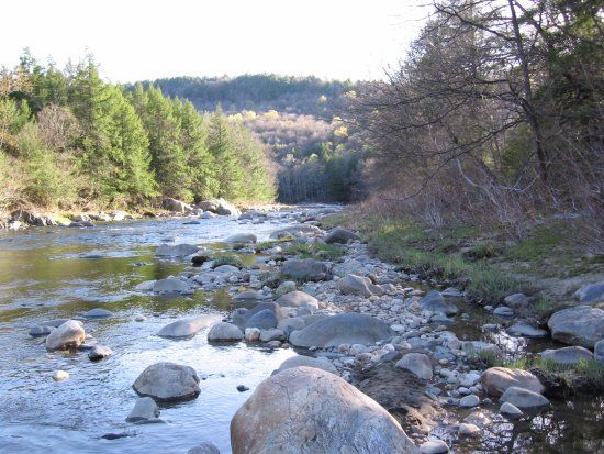 Chesterfield Gorge