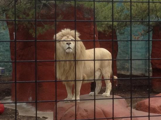 Capron Park Zoo