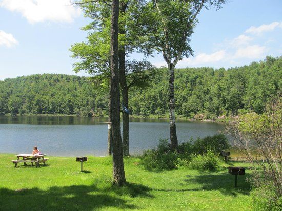 Savoy Mountain State Forest